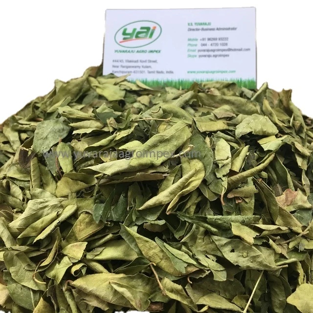 Indian spices dried curry leaves Manufactures in India to Canada USA  Australia Sri Lanka Nigeria Ireland Malaysia