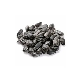 Wholesale High Quality Nuts Organic Sunflower Seeds Kernels Wholesale Sunflower Seeds Kernel/Sunflower Seeds Ready For Export