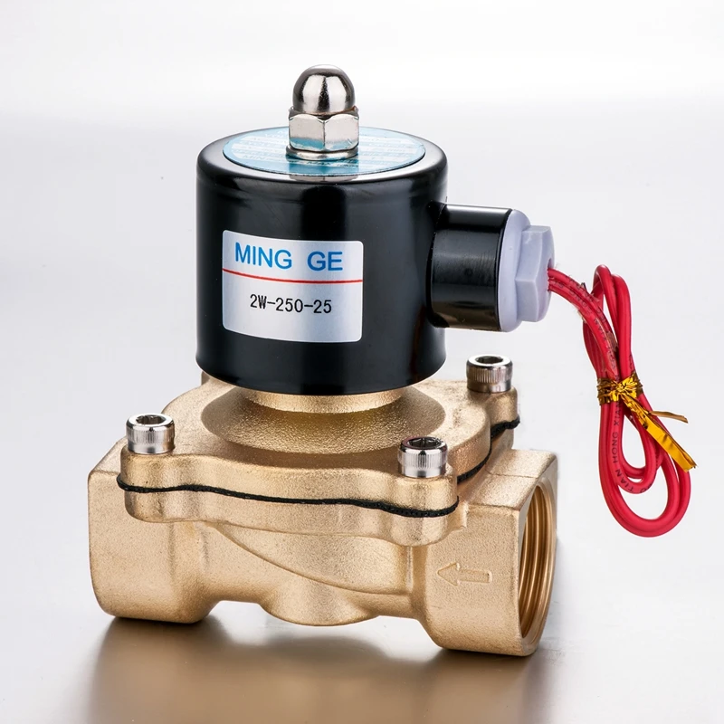 2W250-25 1 inch 2/2 Way AC220v Direct Acting Water Solenoid Valve 2 Position 2 Port Big Orifice Solenoid Valves