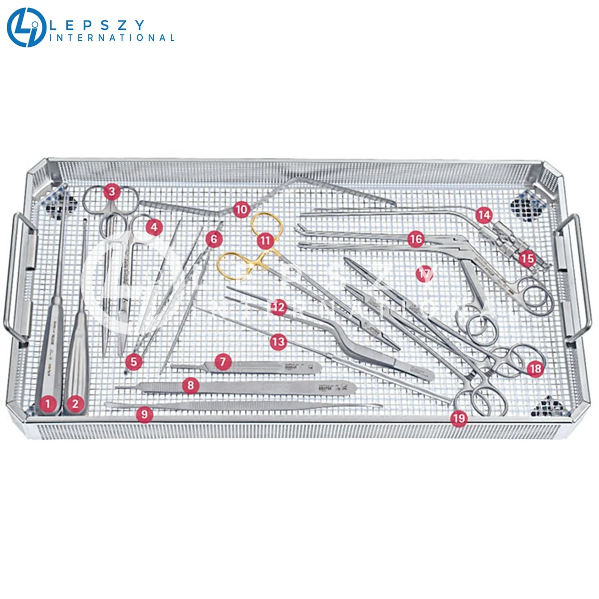 Lepszy International Premium Quality Spinal Set Tray 1 Instrument for Spine Surgery Instruments set