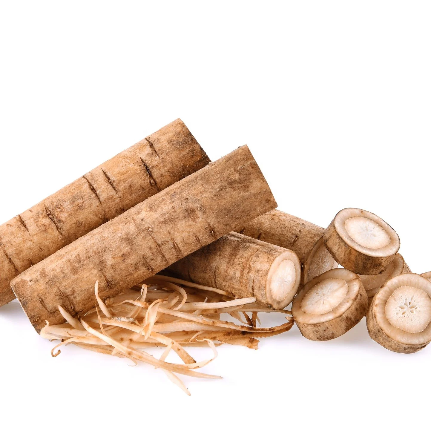 Wholesale fresh burdock