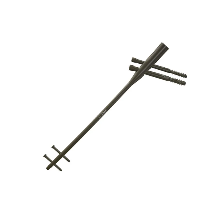 Zealmax Ortho Titanium Pure Material Trauma Orthopedic Implants CE Approved Proximal Femoral Intramedullary Nail