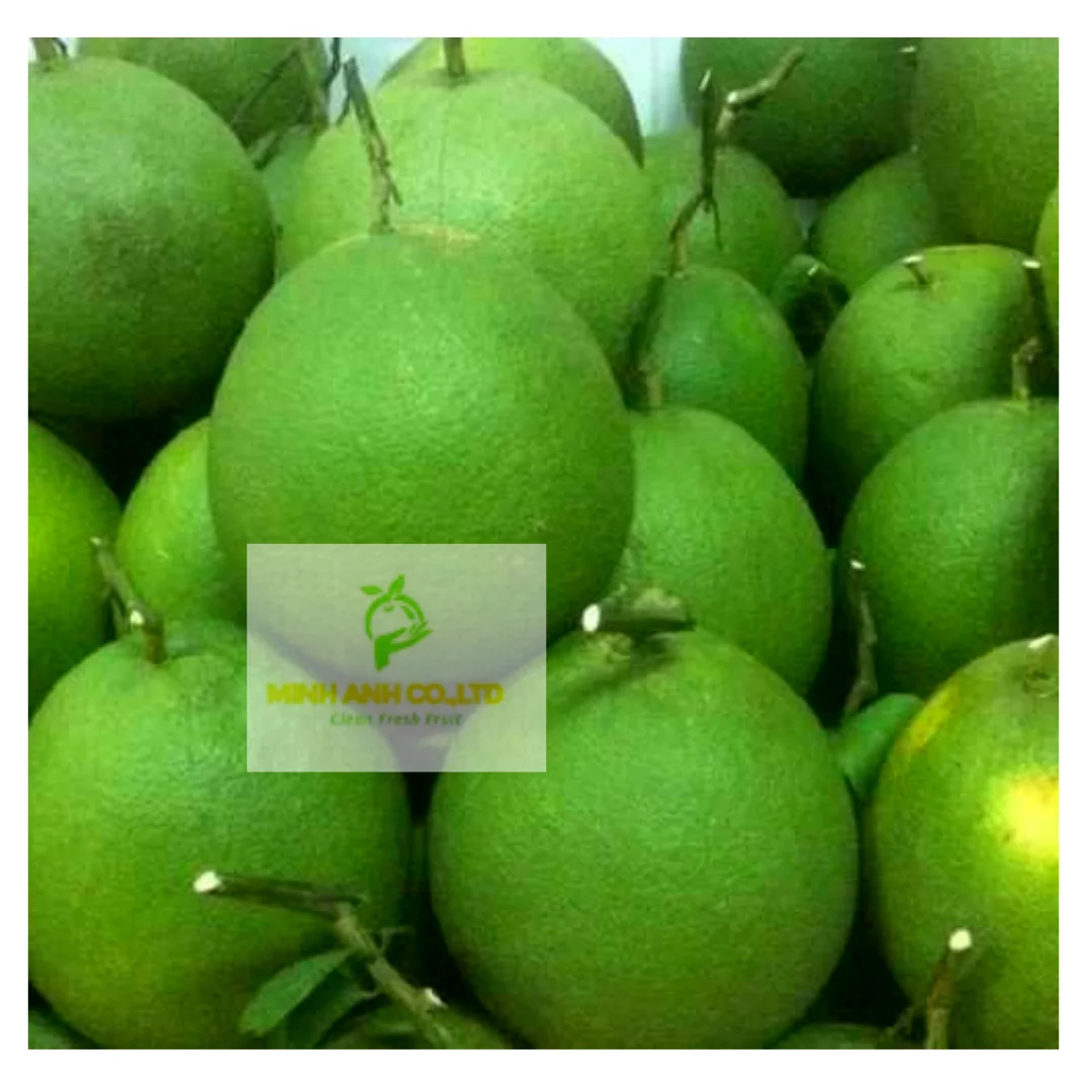 Fresh Green Grapes Turkey Key Sweet Crop Style Storage Cool Packing Mature Newest Color Origin Super Type Comfort Variety Size