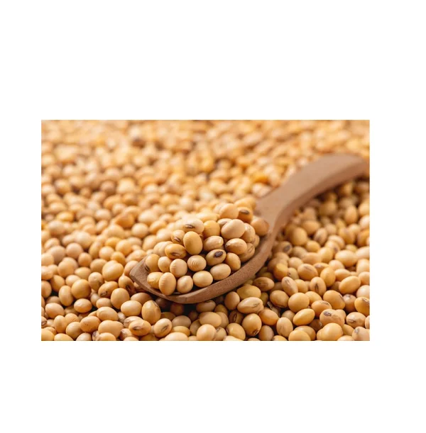 Affordable Soybean Seed Treat Yourself to Premium Seeds for Your Garden at Unbeatable Low Prices Now