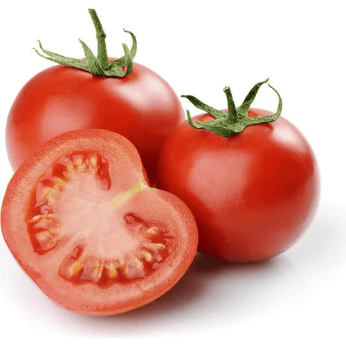 Fresh Tomato well developed  Wholesale Price supply from India