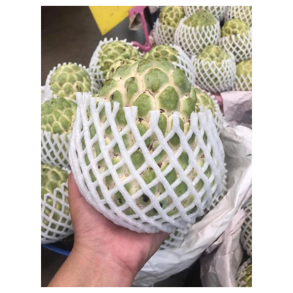 Premium Fresh Custrad Apple from Thailand 100% Natural Premium Grade of Fresh Custrad Apple with Best Taste