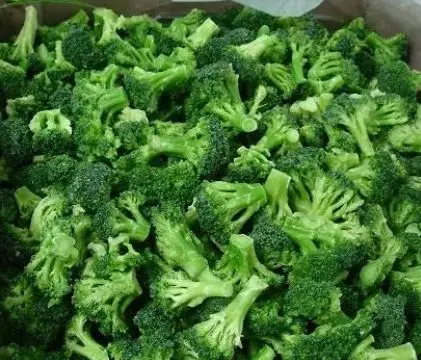 Worm Free Greenhouse Planting BRC A Approved 2-4cm Cut Frozen Vegetable Broccoli from All in GmbH
