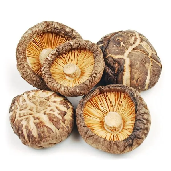 Premium Natural Dried Shiitake Mushroom Good Delicious Size 3-4 cm for Wholesale Cheap Price