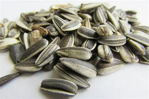 Best Seller Premium Confectionery Sunflower Kernels Bulgarian Origin New Crop Hulled Sunflower Seeds
