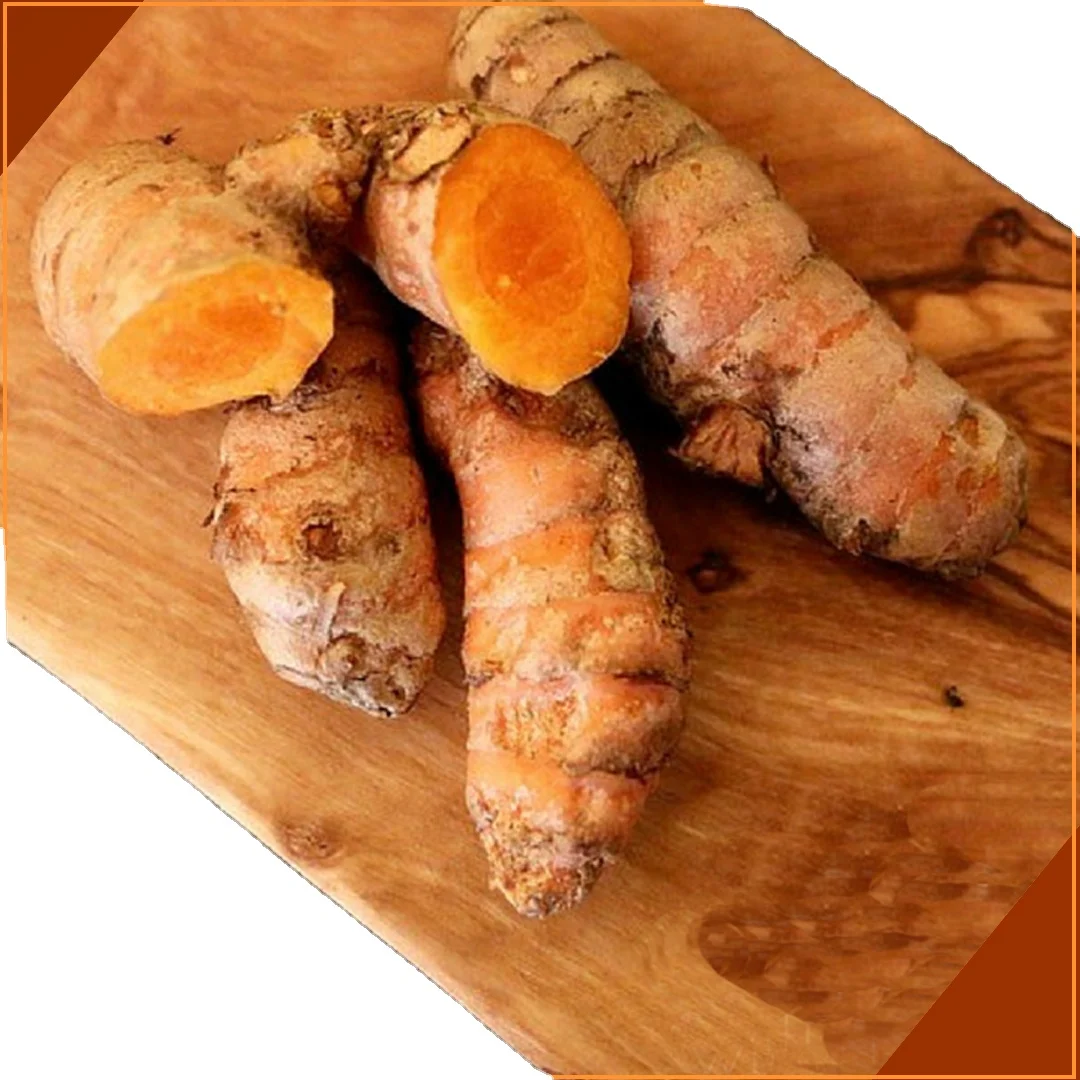 Good Quality Orange Yellow Healthy Herb and Spicy Root stem Fresh Turmeric For Condiment colorant