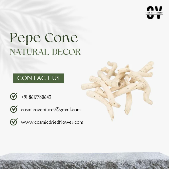 High Quality Wholesale Natural Pepe Cone for Potpourri, DIY, Events Decor & Other Dried Flower Decor