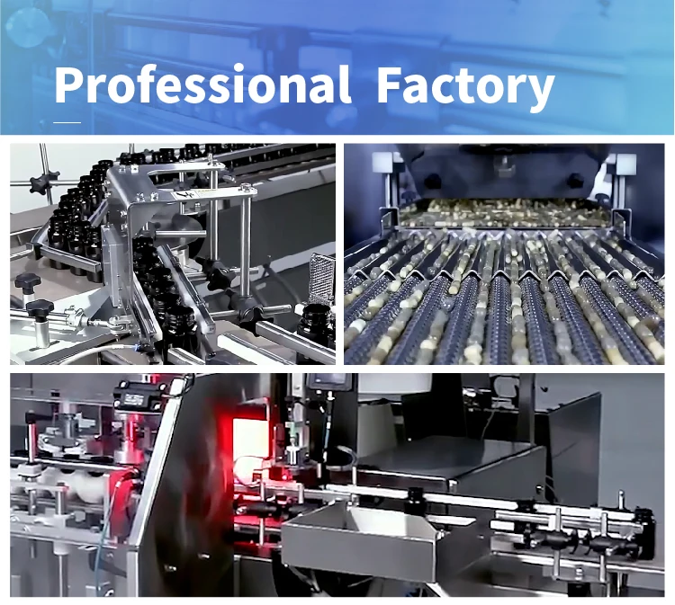 Professional  Factory-01