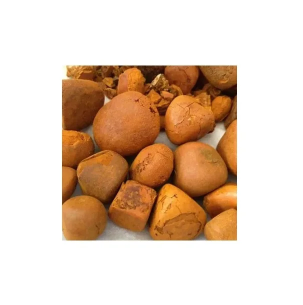 bulk buyer ox cow gallstones cattle buffalo cows product yellow original whole broken gallstone supplier for sale