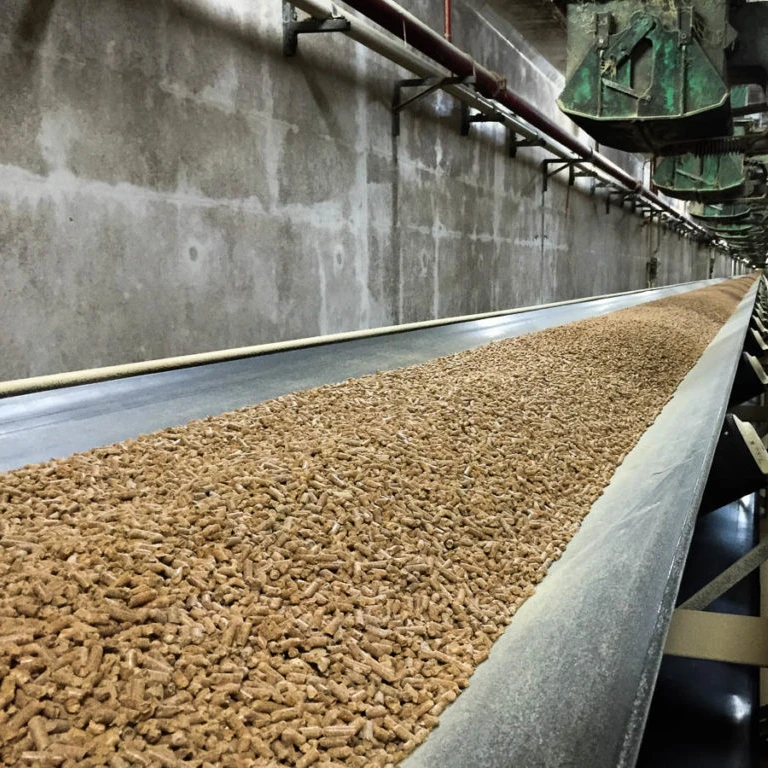 Europe Wood Pellets DIN PLUS / A1 Wood Pellets from Belgium for sale