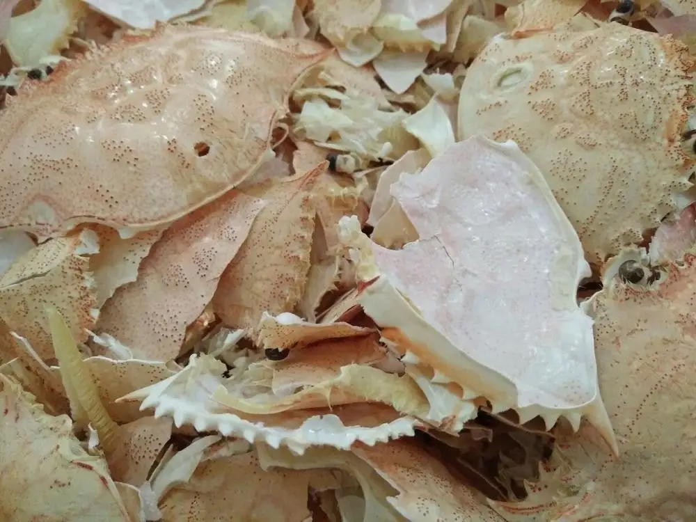 DRIED CRAB SHELL MEAL