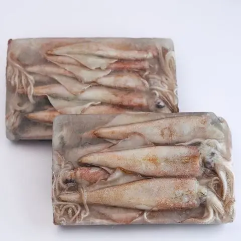 Высококачественные морепродукты Оптом Свежий замороженный кальмар замороженные мясо