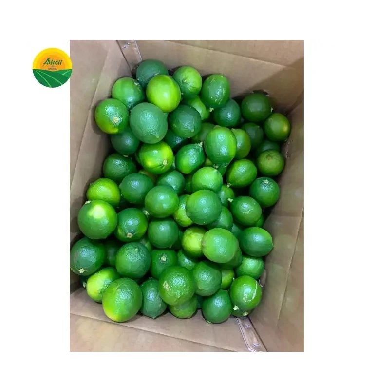 Vietnam Seedless Lime All Size Fresh Seedless Lime Green Seedless Lemon from Vietnam High Quality