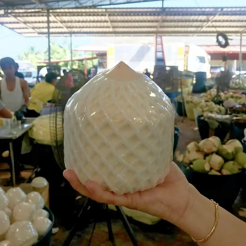 Fresh young coconut from Thailand Season: All year round | Flavor: Sweet and refreshing PREMIUM A GRADE