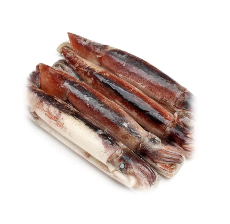 Buy Affordable Whole Frozen Squid at Unbeatable Low Prices Perfect for Cooking Delicious Seafood Dishes Today