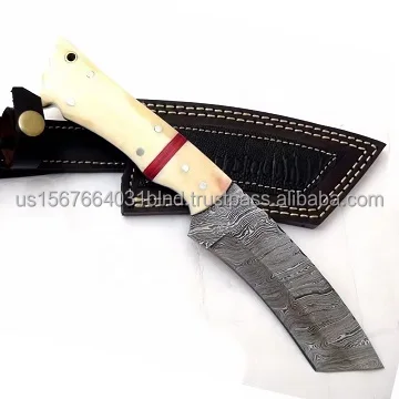 Beautiful Sizzco Handmade Damascus Steel Fixed Blade Hunting Camping Skinner Tanto Knife Handle Camel Bone with Brass Clip