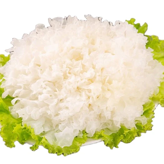 Поставка жидкого снежного гриба Свежий снежный гриб белый Желейный