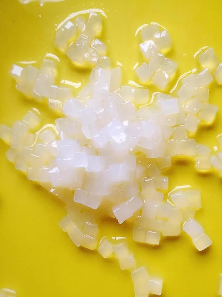 Dried Nata de coco Nata de coco in syrup +84947900124