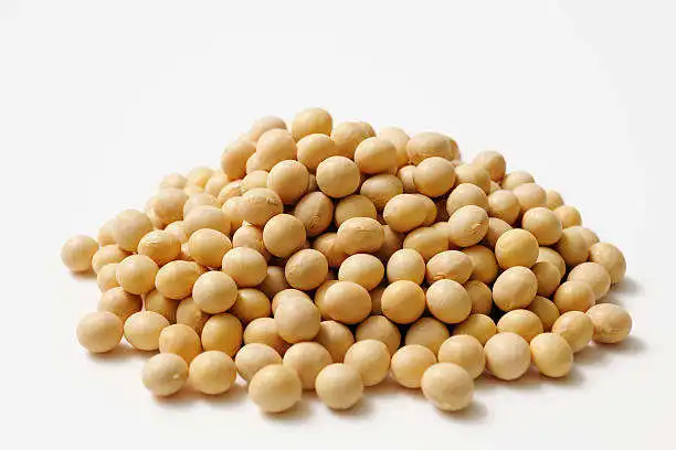Best Premium Quality GMO Soyabean Beans for Animal Feedings Cheap Price