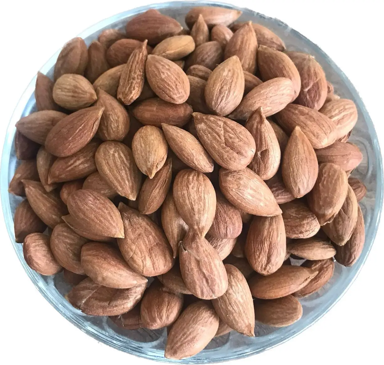 Bitter Turkish Apricot Kernels Turkish Dried Fruit Nuts Dry Seed Bitter Turkish Apricot Kernels