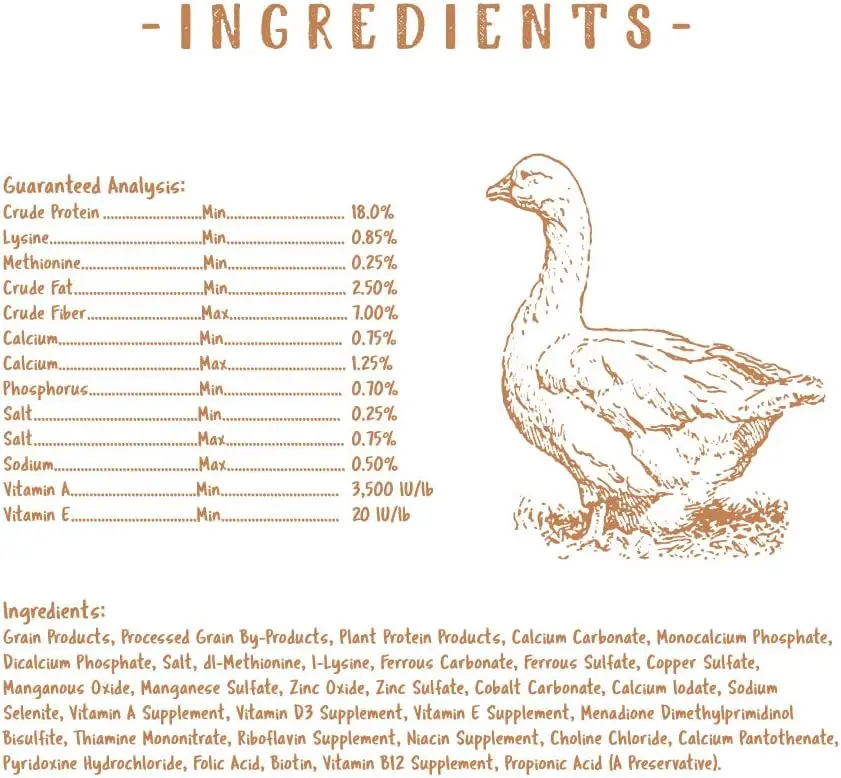 buy wholesale Chick Starter Food  Non Medicated Chick Feed  Chick Supplies  Duck Food 5 Pounds