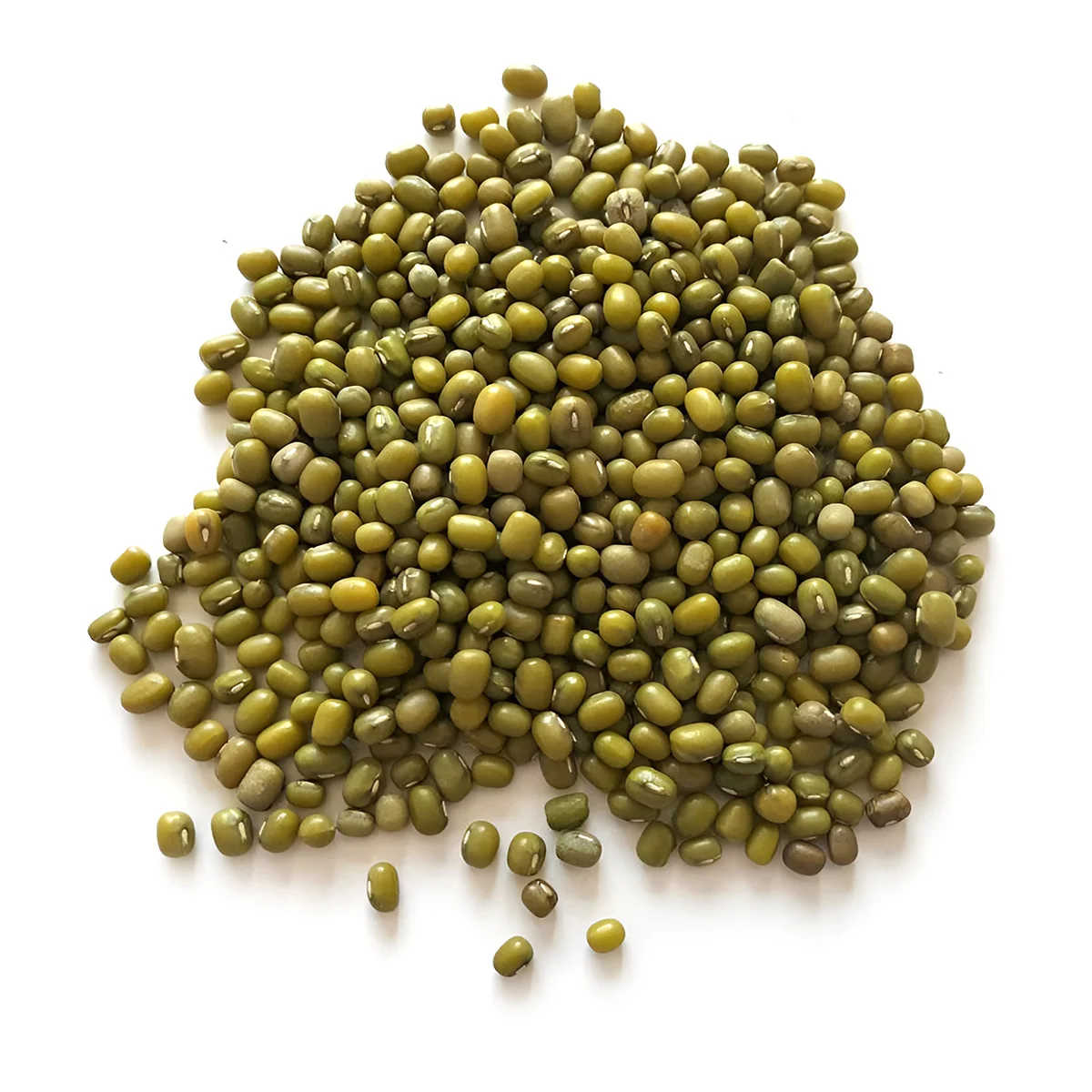High quality green mung beans 100% natural product of Uzbekistan wholesale prices