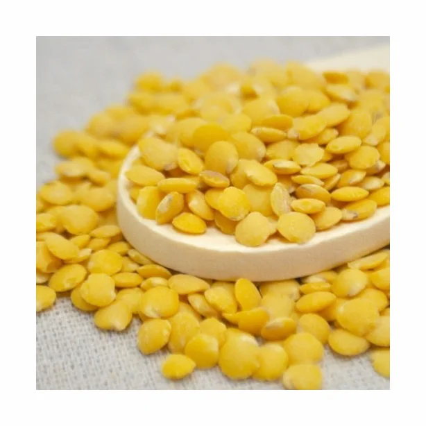 Best Quality Organic Red Green Brown Yellow Lentils Whole Pattern Dried Food Lentils in Bulk Bags Price Competitive