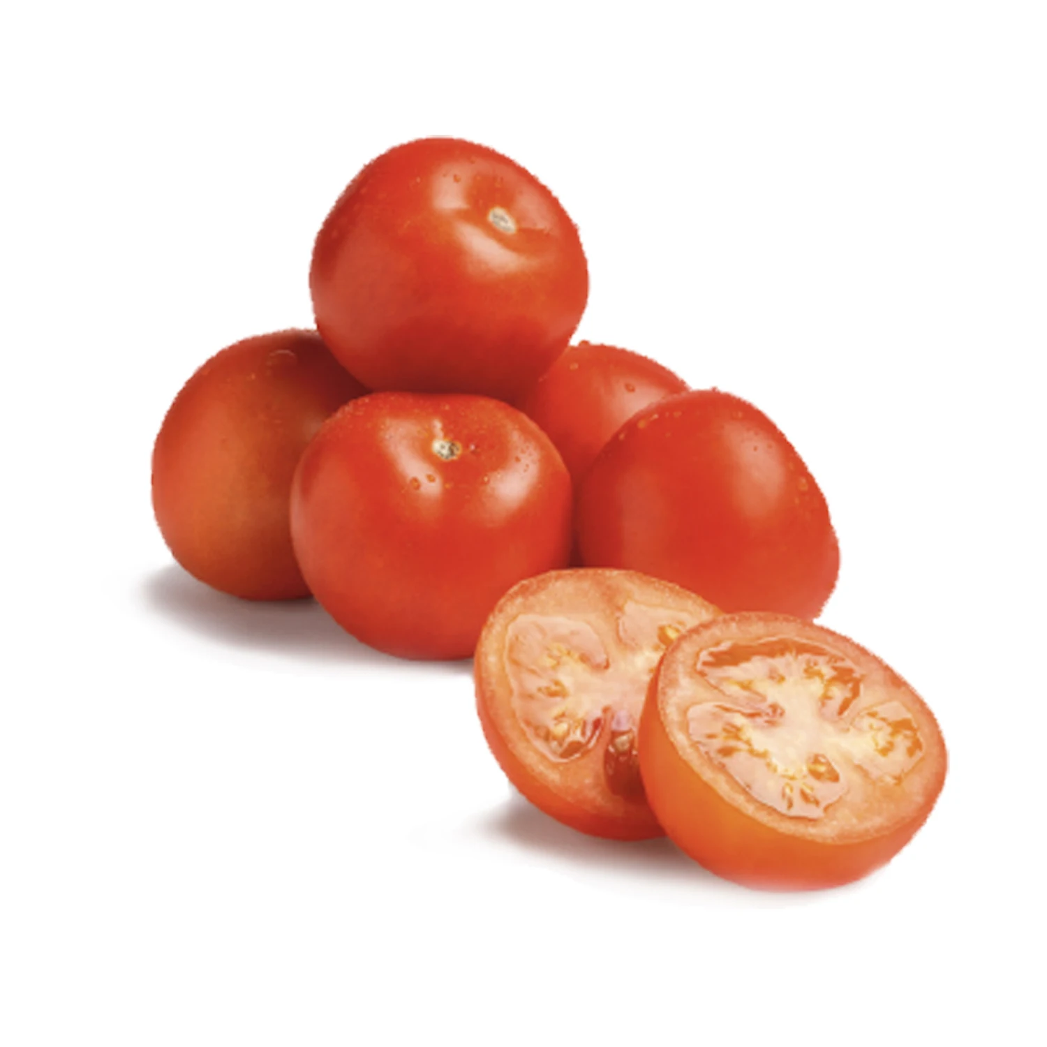 Fresh Tomatoes For Sales