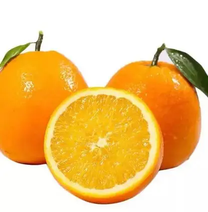 Оптовая цена оранжевый пупок для Южной Африки