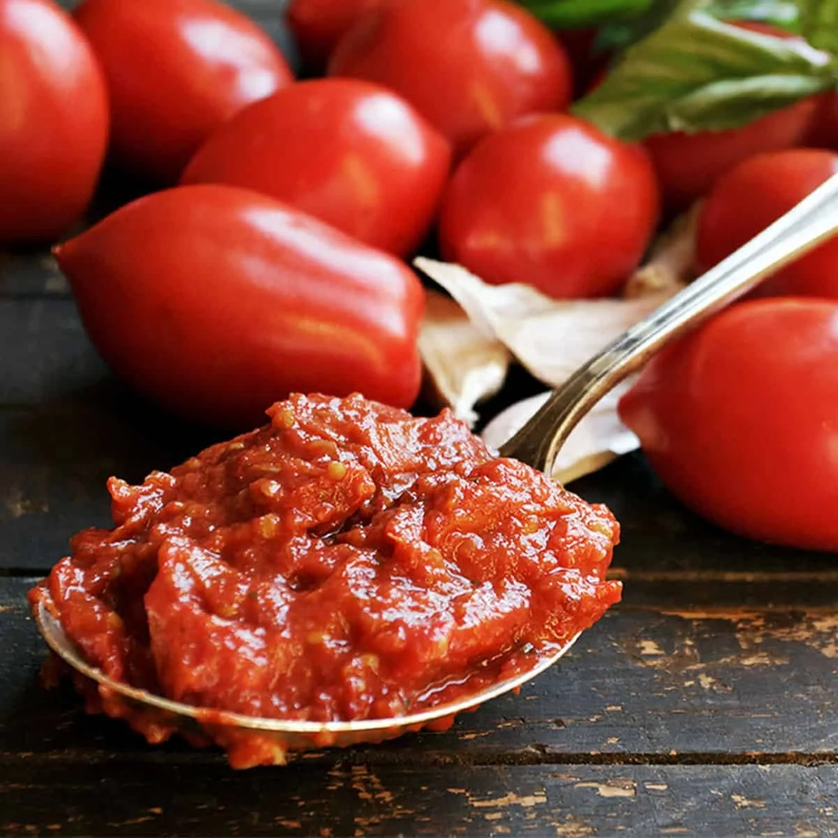 Double Concentrated Tomato Paste Brix 28-30 70g Tomato Paste