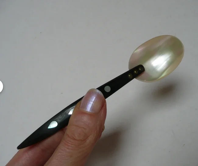 Mother of pearl spoon with buffalo horn handle Caviar spoon 20 cm 100% Indian handicrafts Perfect for serving Premium Caviar