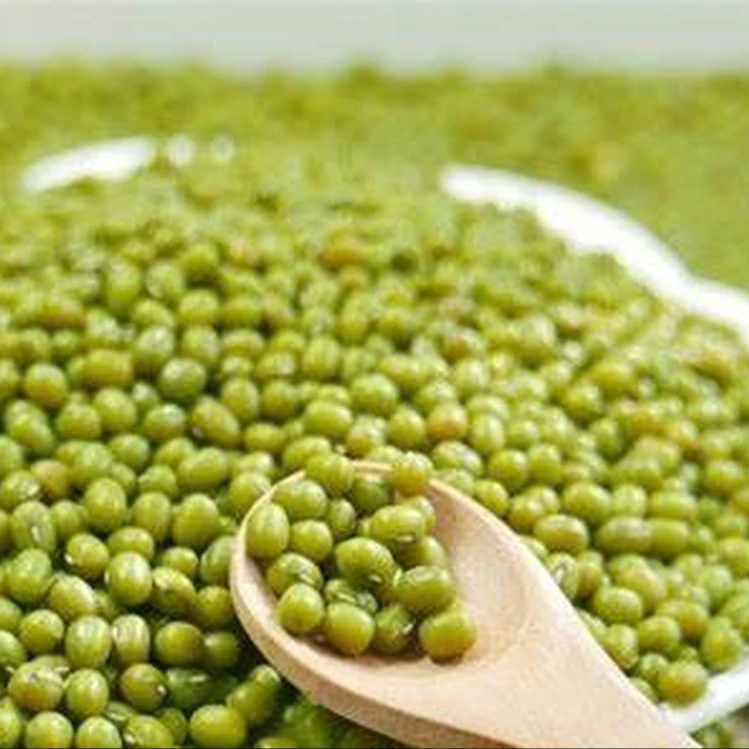 High Quality Raw Vietnam Green Mung Bean Vietnam Supplier WholesalesGood Prices New Crop In stock