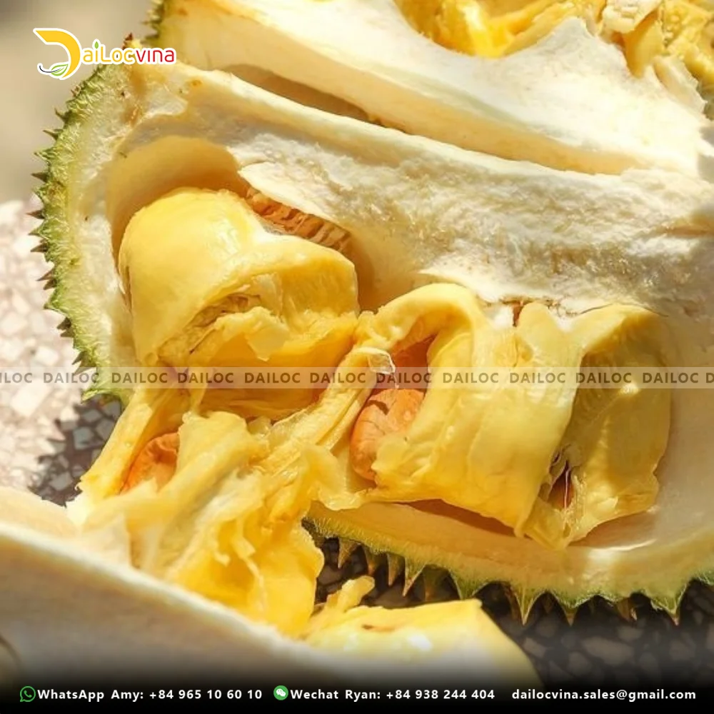 FAMOUS TROPICAL ASIA FRUIT PREMIUM HIGH WHOLE MUSANG KING DURIAN SWEET AND THICK FLAVOR