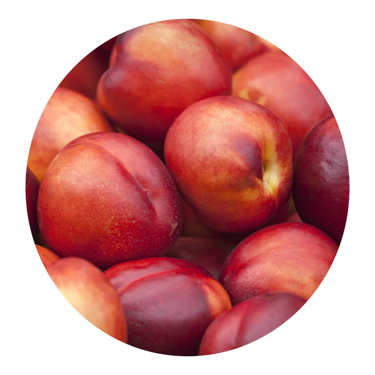 Natural nectarine ripe and delicious from the manufacturer farm natural