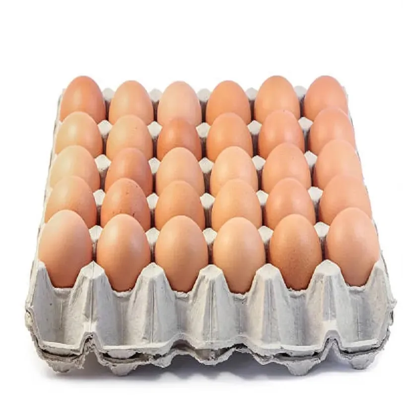 Best Quality Hot Sale Price White / Brown Shell Fresh Table Chicken Eggs From Belgium Supplier