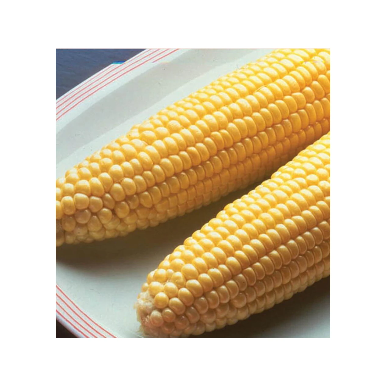 Natural enriched grains high quality Corn for organic essential oils best selling product 2022 wholesale