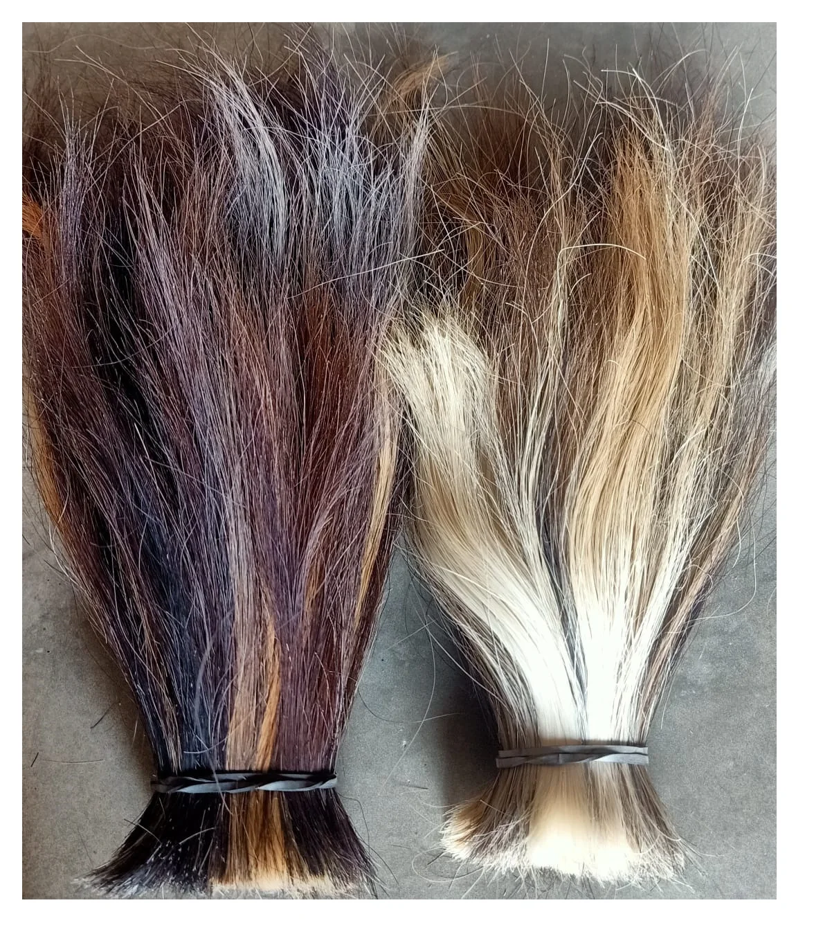 Washed double drawn horse mane hair for paint 4yrs CN .Hebei and export Manufacturer of Cow Buffalo Tail Hair Natural Cattle