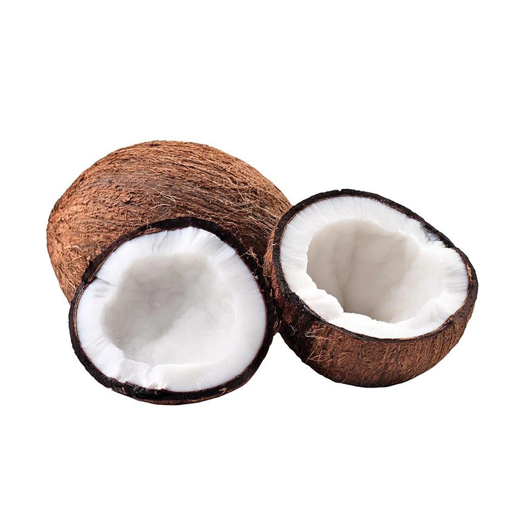 NEW ARRIVAL !!Semi-Husked Fresh mature coconut in bag Fresh newly harvested made in Viet Nam Fresh Coconut Natural Sweet Coconut