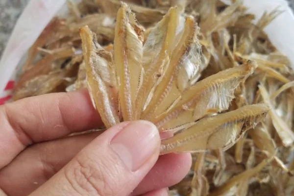 DRIED ANCHOVY FROM VIETNAMESE WHOLESALER - DRY ANCHOVY WITH BEST PRICE AND PREMIUM QUALITY - ANCHOVIES DRIED FOR FOOD