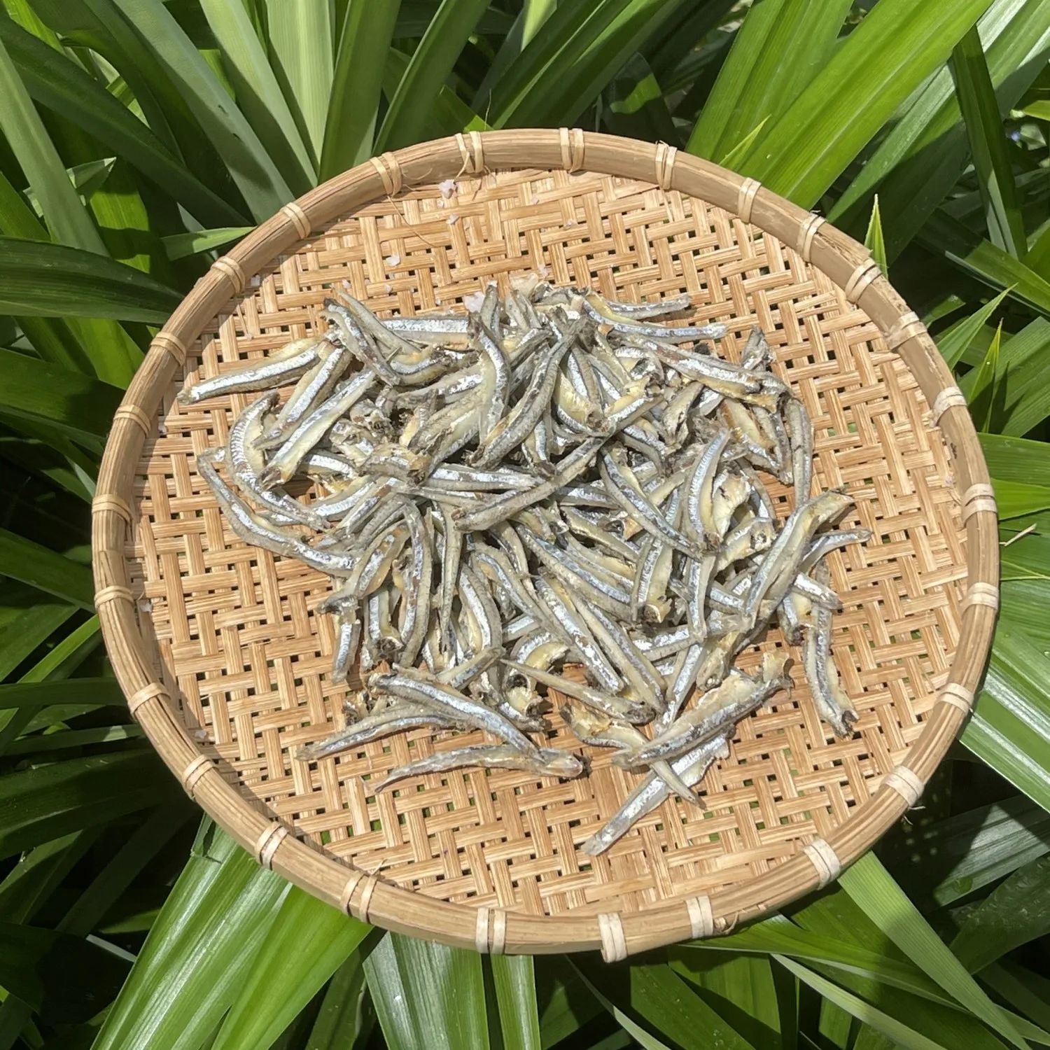 Good Quality Vacuum / Bag Packaging Impurities Removed Ho Nam L2 (5-7cm) Dried Anchovies With Head