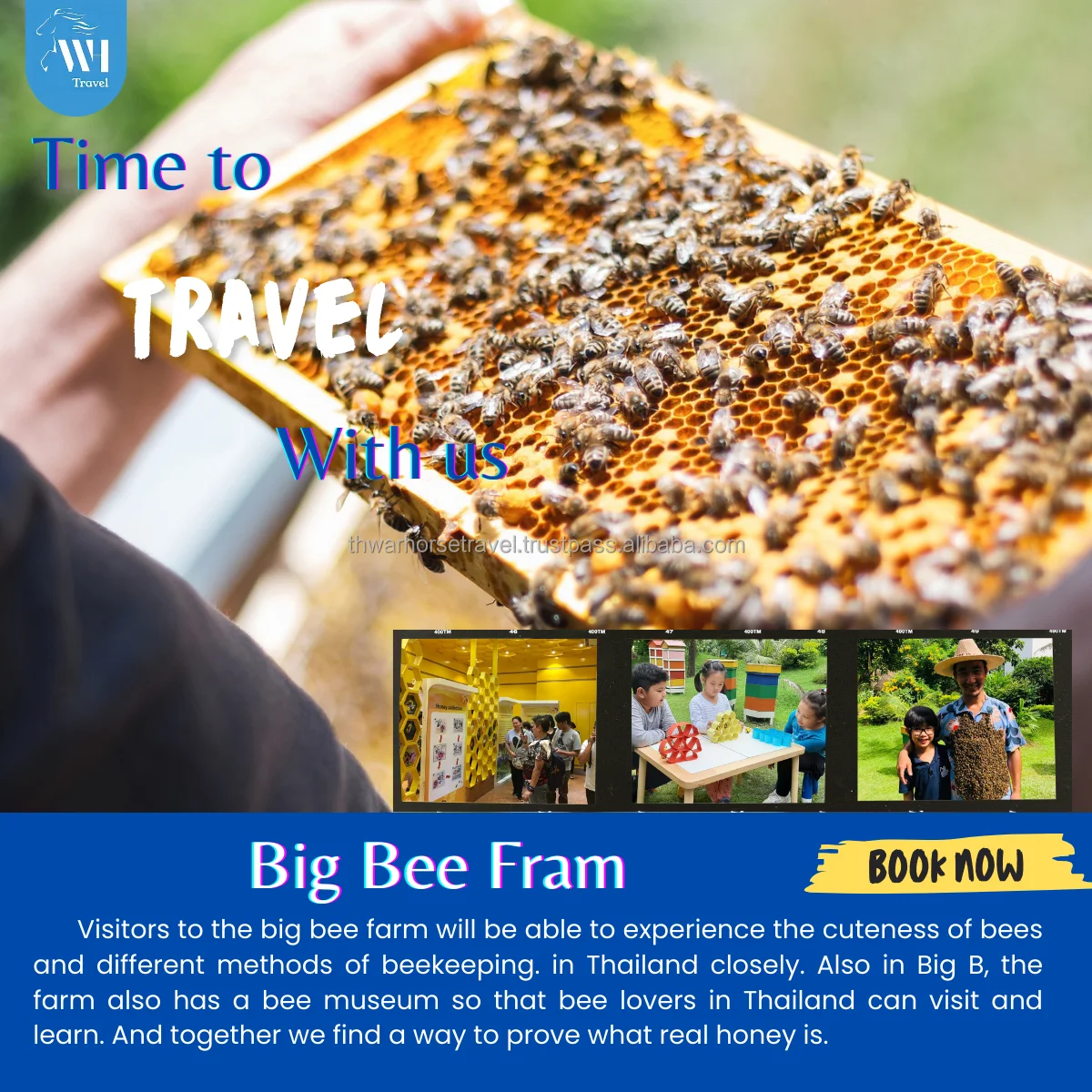 Package C One day trip in Pattaya (Thailand) Travel packages Pattaya Travel Adventure