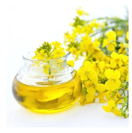 Pure Refined Canola Oil - Rapeseed Oil for Baking and Frying