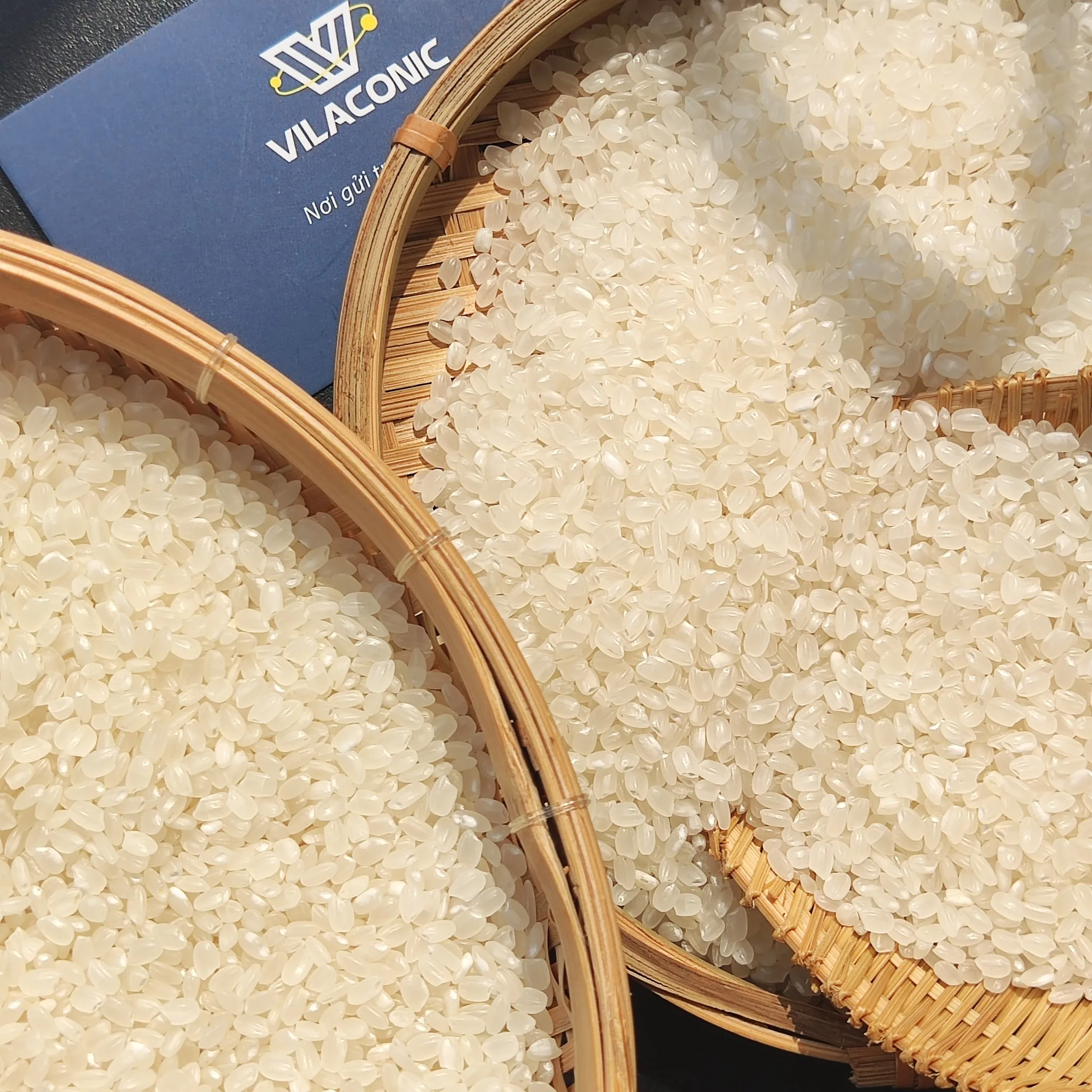 Japonica The Best Short Grain Rice Vietnam Japonica Rice Japonica Rice Supplier Exporter Wholesale Trader |
