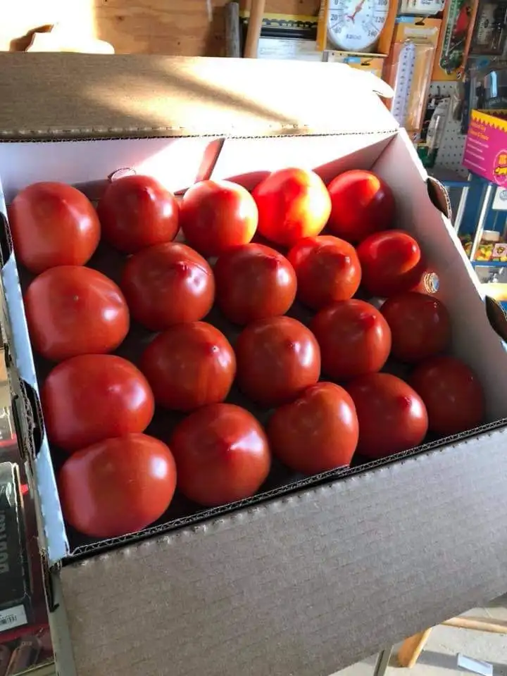 Оптовая продажа доступны свежие красные