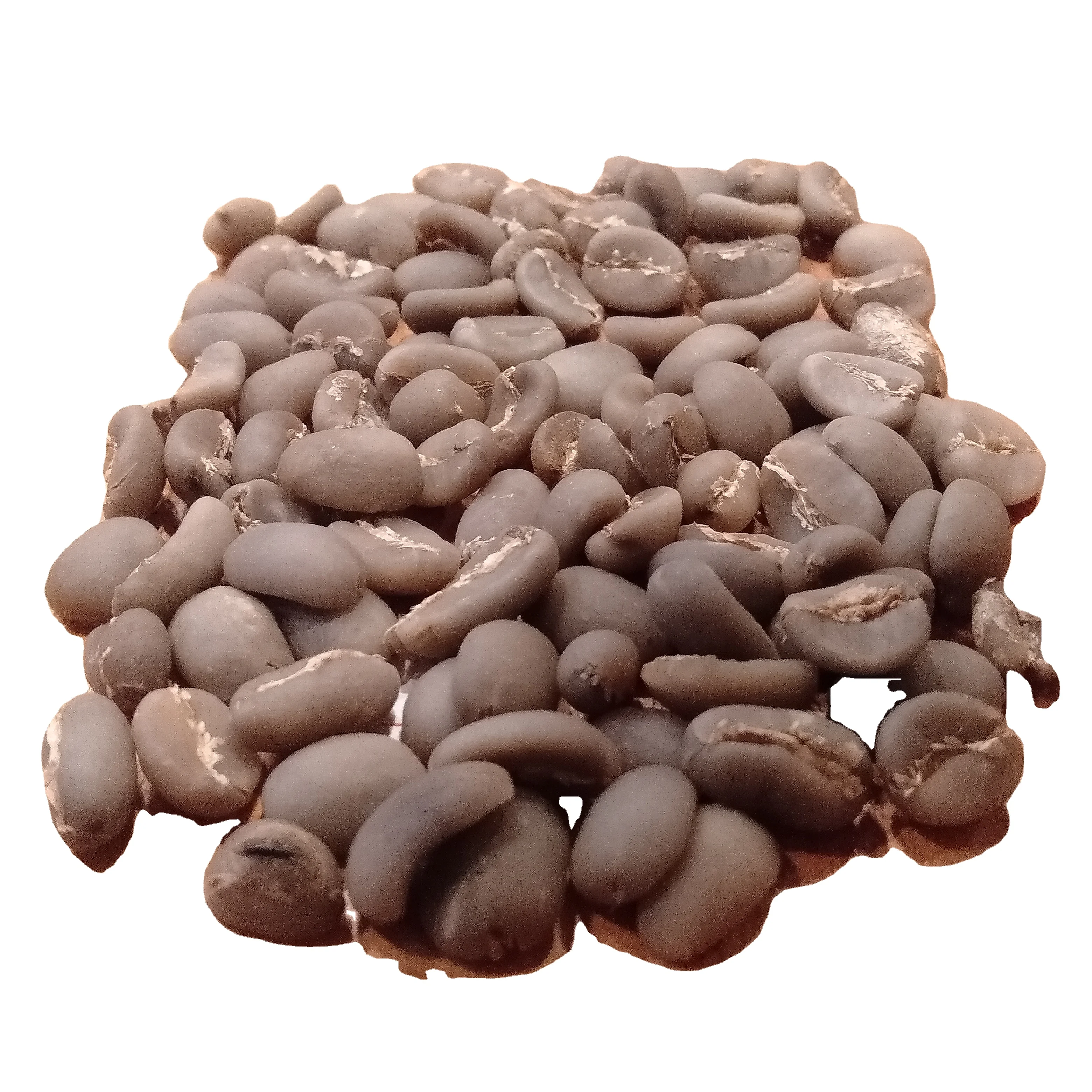 HIGH SALES ! Robusta Whole Bean coffee from Indonesian green coffee beans Wholesale ready-to-export coffee beans with low price