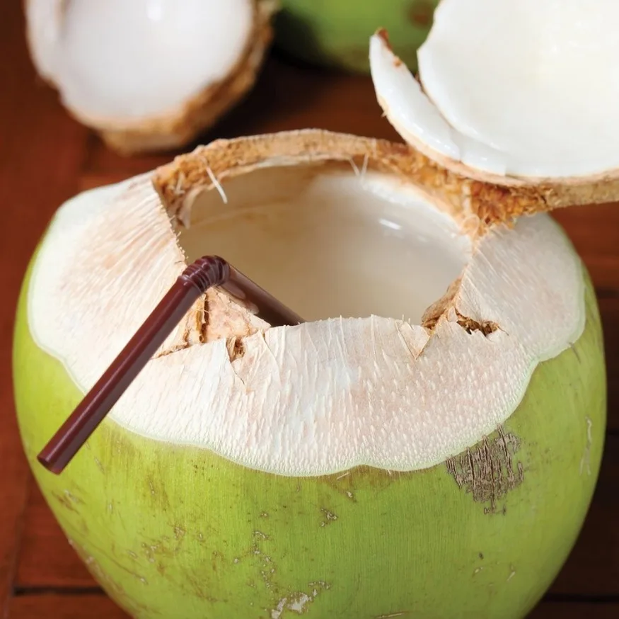FRESH YOUNG COCONUT VIETNAM GREEN Premium WHITE Tropical Shell SWEET Style Packing Organic Pcs Color PURE Weight DRINK Shelf Chi